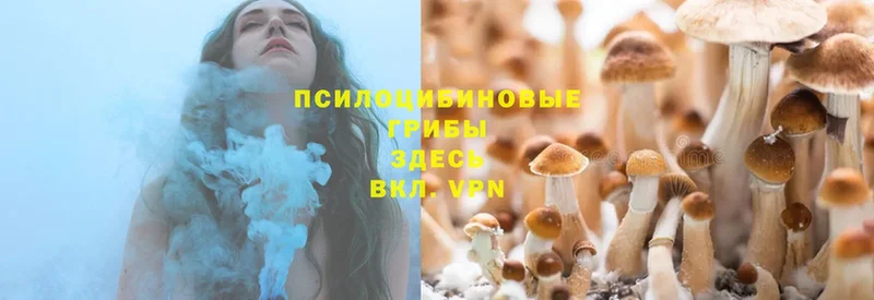 Галлюциногенные грибы Magic Shrooms  MEGA зеркало  Беломорск 